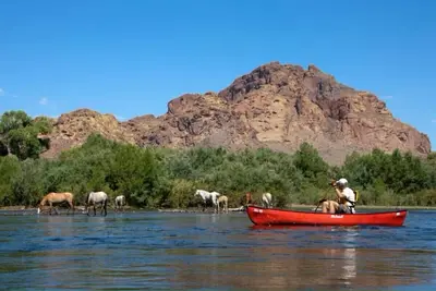 Image de Mesa Oasis - Relax & Unwind