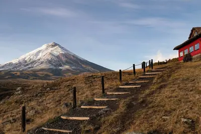 Image de Settle into the Suites at our Downtown San Francisco