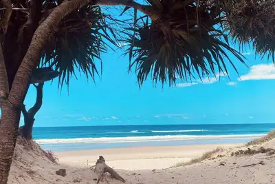 Image de Restspace in Byron Shire