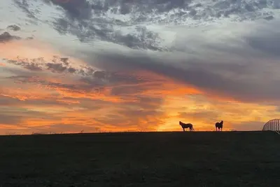 Image de Relax with the whole family at Puckett’s View- Potosi, Mo - Home Away From Home.