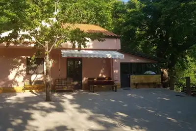 The little house in the woods for tourists