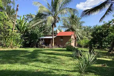 Image de Sunbeam, two bedrooms, Aa, Starlink, rustic pool, gardens, orchard.