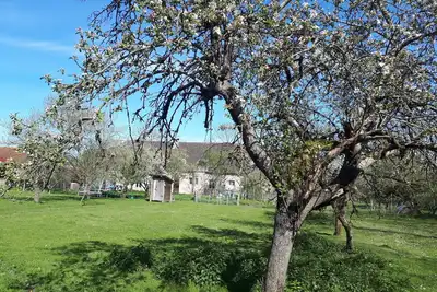 Image de Maison à la ferme, animaux, nature et terroir