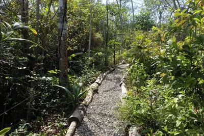 Image de 4-bedroom beachfront paradise in Palenque with Ac, pool, walking trail and more!