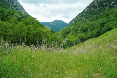 Image de Seattle South Lake Union Room