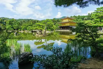 Image de Unwind at our hotel near University District