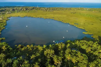 Image de Seattle Downtown: Where Work Meets Adventure