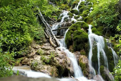 Image de Discover modern convenience at our hotel in downtown Seattle