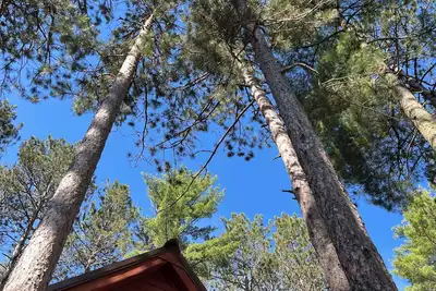 Image de Piney Woods Retreat w/Sauna, State Parks & Trails