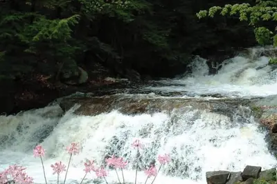 Cottage beside a waterfall