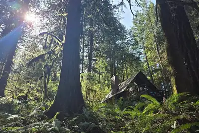 Image de Cozy Cabin at Javi's Spring with Forest Bath!