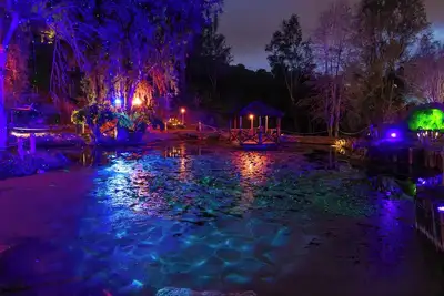 Image de Enchanted Estate: Animals, Lightscapes & Whimsy