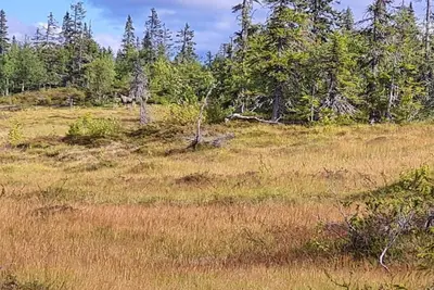 Image de Maison de vacances pour 4 a Föllinge