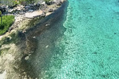 Image de Come and relax in this beautiful canal house. Enjoy nature and crystal water