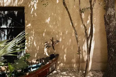 Image de Ama and Prana, Mars; Nature, tranquility and exceptional hospitality