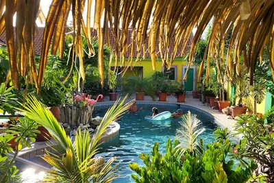 Image de Cozy Apartment 2 Romantic Pool in Tropical Oasis Resort HappyDays Aruba