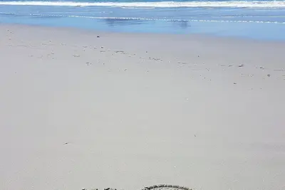 Image de Beautiful Ruakaka beach fun, lots of space, 2 lounges, big garden