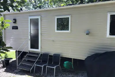 Image de Des blaireaux nichés dans un coin douillet du parc