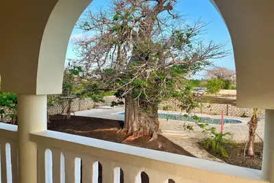 Luxurious 1-bedroom apartment on the first upper floor