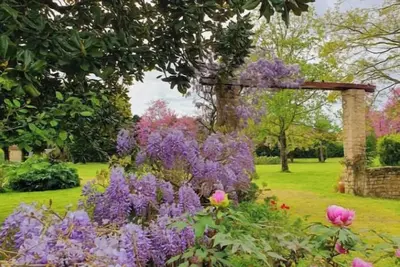 Image de La Glycine-maison pour 4 personnes