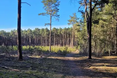 Image de Oasis of peace Waldblick