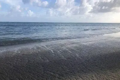 Image de Be on the Beach – Fish