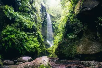 Image de Accueil Elias La Palma Ville