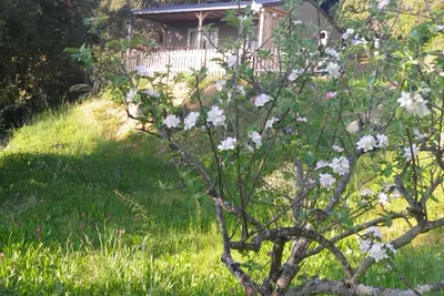 Image de location chalet à l' ombre des chenes dans propriété privée à 7 mn de la mer
