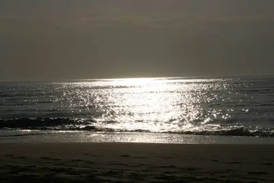 Image de 🏡 Mobil-home cosy proche de l’océan – Idéal printemps 🌊