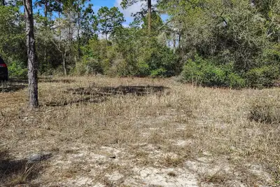 Image de Soothing campground in Interlachen for a peaceful getaway