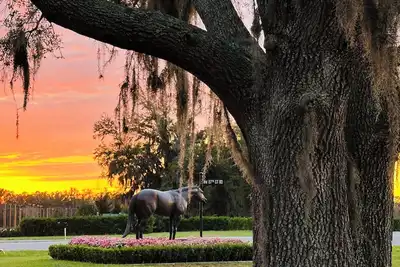 Image de Charming, Pet-Friendly Retreat - 4min to Wec with fenced in yard + camper setup