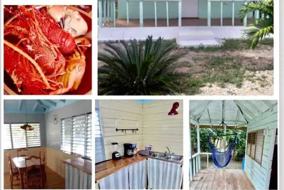 Image de Authentic Jamaican Vibe Fruit Tree Beach, Little Bay Jamaica