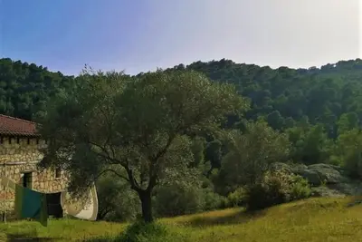 Image de Wood & Stone dream view house B