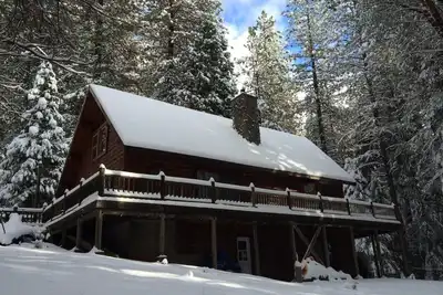 Image de Dancing Pines- Family friendly 3/2 cabin & loft in the peaceful, relaxing forest