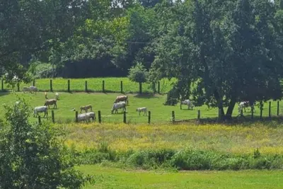Image de B&B La Rugiada. A 20th century residence immersed in the greenery of Monferrato.