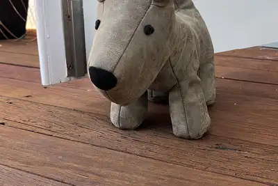 Image de Callistemon Cathos Beach Cottage 8 mins walk to beach (dog-friendly)