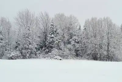 Image de Nous avons 3 chambres dans notre très grande maison propre à louer