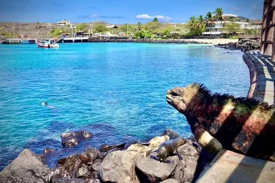 Image de Sol y Mar Guest House