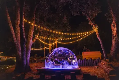 Image de Dreamy Forest Castle Sleeps 16: Dome, Views Games, Theater, Spa, Sauna