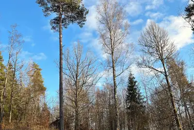 Image de Villa near nature and lake with large terrace