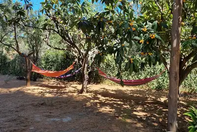 Image de Peaceful and relaxing rustic house with a spacious garden surrounded by trees.