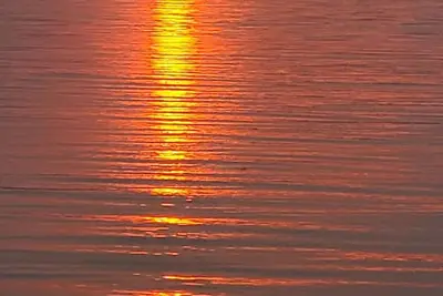 Image de Cozy cabin with Ac & WiFi in charming Camano Island. Walk to beach.