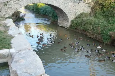 Image de The Freixe de l'Ylla