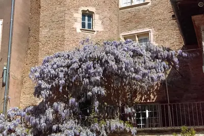 Image de Maison ancienne pour 2-3 personnes au centre du vieux Gaillac