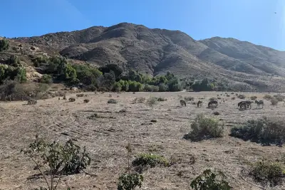 Image de 3-bedroom house in awesome Riverside with Ac, WiFi, hiking trails