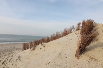 Image de Charmant chalet de dunes entre golf et plage à Hollum