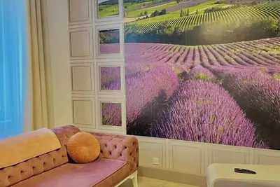 Image de L'univers Provençal au coeur de Mulhouse