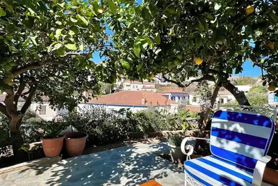 Image de Hydra Serene Escape