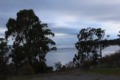 Image de Spot The Sea Eagle