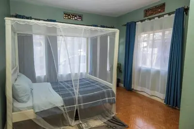 Image de The Green Apartment